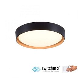 EMILIA Svítidlo přisazené 28,8W 3000K 4000lm černé - LEUCHTEN DIREKT / JUST LIGHT Obrázek pro produkt EMILIA Svítidlo přisazené 28,8W 3000K 4000lm černé - LEUCHTEN DIREKT / JUST LIGHT