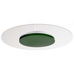 Deko-Light stropní přisazené svítidlo Zaniah 24W, kryt listová zelená 220-240V AC/50-60Hz 24,00 W 3000 K 2567,93 lm bílá - LIGHT IMPRESSIONS Obrázek pro produkt Deko-Light stropní přisazené svítidlo Zaniah 24W, kryt listová zelená 220-240V AC/50-60Hz 24,00 W 3000 K 2567,93 lm bílá - LIGHT IMPRESSIONS