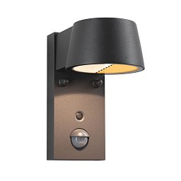 LED venkovní nástěnné svítidlo Smart Home Zigbee Capea pohybové čidlo neláká hmyz IP44 96x153mm CCT 6W 230V 98° antracit - PAULMANN Obrázek pro produkt LED venkovní nástěnné svítidlo Smart Home Zigbee Capea pohybové čidlo neláká hmyz IP44 96x153mm CCT 6W 230V 98° antracit - PAULMANN