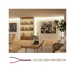 Pro LED Strip Silver P150 830 5m 50W 1480lm/m 160LEDs/m 3000K - PAULMANN Obrázek pro produkt Pro LED Strip Silver P150 830 5m 50W 1480lm/m 160LEDs/m 3000K - PAULMANN