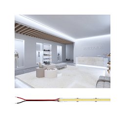 Pro LED Strip Silver P150 COB 865 5m 65W 1400lm/m 528LEDs/m 6500K - PAULMANN Obrázek pro produkt Pro LED Strip Silver P150 COB 865 5m 65W 1400lm/m 528LEDs/m 6500K - PAULMANN