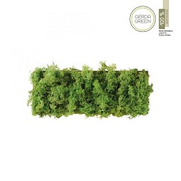 GREEN CARLO LED nástěnné svítidlo islandský mech teplá bílá 3000K akustické - LEUCHTEN DIREKT / JUST LIGHT Obrázek pro produkt GREEN CARLO LED nástěnné svítidlo islandský mech teplá bílá 3000K akustické - LEUCHTEN DIREKT / JUST LIGHT