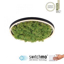 GREEN RITUS LED stropní svítidlo 40x40 islandský mech Switchmo 3-krokové stmívání 3000K akustické - LEUCHTEN DIREKT / JUST LIGHT Obrázek pro produkt GREEN RITUS LED stropní svítidlo 40x40 islandský mech Switchmo 3-krokové stmívání 3000K akustické - LEUCHTEN DIREKT / JUST LIGHT
