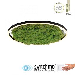 GREEN RITUS LED stropní svítidlo 60x60 islandský mech Moos Switchmo 3 krokové stmívání 3000K akustické - LEUCHTEN DIREKT / JUST LIGHT Obrázek pro produkt GREEN RITUS LED stropní svítidlo 60x60 islandský mech Moos Switchmo 3 krokové stmívání 3000K akustické - LEUCHTEN DIREKT / JUST LIGHT