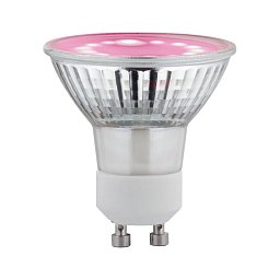 Grow Green Edition Filament 230V LED reflektor GU10 3,5W 1100K na růst rostlin - PAULMANN Obrázek pro produkt Grow Green Edition Filament 230V LED reflektor GU10 3,5W 1100K na růst rostlin - PAULMANN