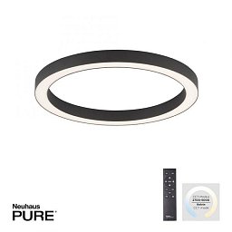 Paul Neuhaus LED stropní svítidlo PURE-LINES antracit 50cm stmívatelné CCT 2700-5000K - PAUL NEUHAUS Obrázek pro produkt Paul Neuhaus LED stropní svítidlo PURE-LINES antracit 50cm stmívatelné CCT 2700-5000K - PAUL NEUHAUS