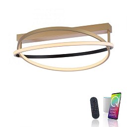 Paul Neuhaus LED stropní svítidlo Q-BELUGA matná mosaz stmívatelné Smart Home ZigBee 2700-5000K - PAUL NEUHAUS Obrázek pro produkt Paul Neuhaus LED stropní svítidlo Q-BELUGA matná mosaz stmívatelné Smart Home ZigBee 2700-5000K - PAUL NEUHAUS