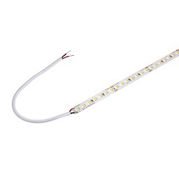GRAZIA PRO FLEXSTRIP 24 V 10 mm 5 m 7000 lm 4000 K - BIG WHITE (SLV) Obrázek pro produkt GRAZIA PRO FLEXSTRIP 24 V 10 mm 5 m 7000 lm 4000 K - BIG WHITE (SLV)
