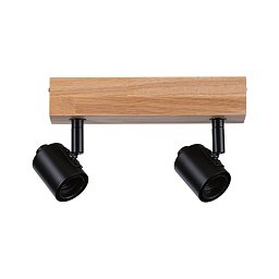 Obrázek pro produkt Stropní bodové svítidlo Arvid E27 230V max. 2x20W stmívatelné černá - PAULMANN