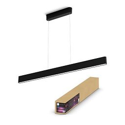 Obrázek pro produkt Hue Bluetooth LED White and Color Ambiance Závěsné svítidlo Philips Ensis 8719514343368 2x39W 5500lm 2000-6500K RGB IP20 24V černé stmívatelné - PHILIPS (929003052501)