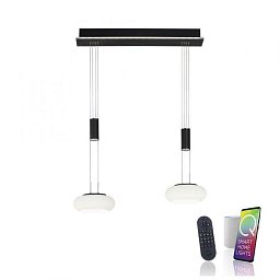 Obrázek pro produkt Svítidlo závěsné Q-ETIENNE 2x LED 8W 2700-5000K + 1x LED 5,7W 2700-5000K + dálk.ovládání - PAUL NEUHAUS