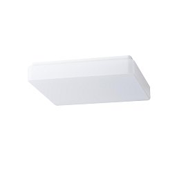 Obrázek pro produkt TILIA 2A stropní/nástěnné plastové svítidlo bílá IP54 4000 K 25W LED nouzové kombinované 3 h - OSMONT
