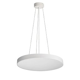 Obrázek pro produkt Deko-Light závěsné svítidlo Menkar 800 mm 92 W 3000/4000 K 7800 lm bílá RAL 9016