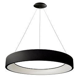 Obrázek pro produkt Deko-Light závěsné svítidlo Sculptoris 800 mm, 60,0 W, 3000/4000 K, černá 220-240V AC/50-60Hz 60,00 W 3000/4000 K 4100 lm tmavě černá RAL 9005
