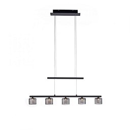 Obrázek pro produkt HYDRA LED závěsné svítidlo, černá, 5 ramenné, nastavitelná výška, nad jídelní stůl 3000K - PAUL NEUHAUS