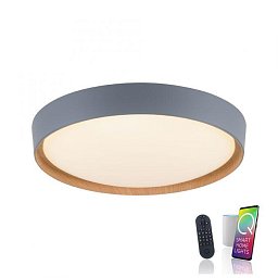 Obrázek pro produkt Q-EMILIA Stropní svítidlo Smart Home šedá, imitace dřeva, stmívatelné ZigBee 2700-5000K - PAUL NEUHAUS