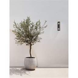 Obrázek pro produkt Venkovní nástěnné svítidlo REGINA antracitový hliník a čiré sklo E27 2x12W 220-240V bez žárovky IP65 - NOVA LUCE