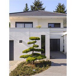 Obrázek pro produkt Venkovní nástěnné svítidlo PARRIS antracitový hliník a čiré sklo LED 8.6W 3000K 220-240V 101st. IP65 - NOVA LUCE
