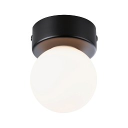 Obrázek pro produkt Selection Bathroom stropní svítidlo Gove IP44 G9 230V max. 20W černá mat/satén - PAULMANN