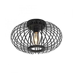 Obrázek pro produkt RACOON Stropní svítidlo černé moderní - LEUCHTEN DIREKT / JUST LIGHT