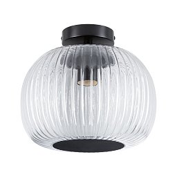 Obrázek pro produkt LED stropní svítidlo Ruya IP44 E27 230V max. 60W sklo/černá mat - PAULMANN