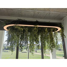 Obrázek pro produkt Závěsné svítidlo BELO_LO_OV_DI s rostlinami CRI90 700x1547x80mm 54W 8710lm 3000K SWITCH-DIM černé - Archilight