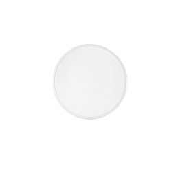 Obrázek pro produkt Stropní LED svítidlo Mayfair, bílé, 24 W, 2460 lm, CCT, 40 x 7 cm - FANEUROPE
