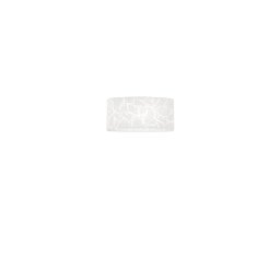 Obrázek pro produkt Nástěnné svítidlo Growler bílý PMMA, CCT 3000/4000/6500 K, 30 x 15 x 8 cm - FANEUROPE