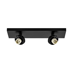 Obrázek pro produkt Deko-Light stropní přisazené svítidlo Can Tilt hranatá základna, 2x 7,5 W GU10, černá