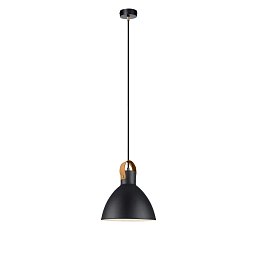 Obrázek pro produkt Eagle závěsné svítidlo černé 22 cm - Markslöjd