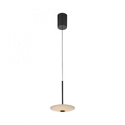 Obrázek pro produkt LED závěsné svítidlo ELIPSA, černá, Comfort-Lift, stmívatelné, 3000K - PAUL NEUHAUS