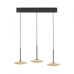 Obrázek pro produkt LED závěsné svítidlo ELIPSA, černá, Comfort Lift, stmívatelné, 3000K - PAUL NEUHAUS