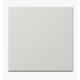 Kolébka spínače LS990LG - JUNG Obrázek pro produkt Kolébka spínače LS990LG - JUNG