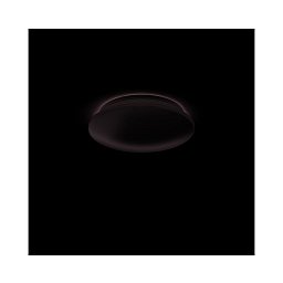 Obrázek pro produkt Mauve STROPNÍ/NÁSTĚNNÉ SVÍTIDLO 32096/31/P0 - Philips (915005297001)