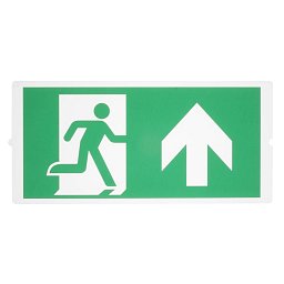 Obrázek pro produkt P-LIGHT Emergency, standard signs for areal light, zelená - BIG WHITE (SLV)