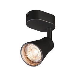 Obrázek pro produkt AVO SINGLE, nástěnné a stropní svítidlo, jedna žárovka, QPAR51, černé, max. 50 W - BIG WHITE (SLV)