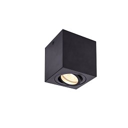 Obrázek pro produkt TRILEDO CL, stropní nástavbové svítidlo, QPAR51, černá, max. 10W - BIG WHITE (SLV)