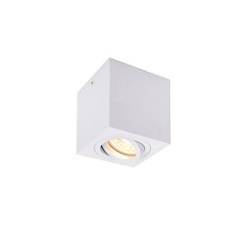 Obrázek pro produkt TRILEDO Single, stropní nástavbové svítidlo, QPAR51, bílá, max. 10W - BIG WHITE (SLV)