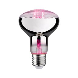 LED Grow Green lampa pro rostliny R80 E27 6,5 W - PAULMANN Obrázek pro produkt LED Grow Green lampa pro rostliny R80 E27 6,5 W - PAULMANN