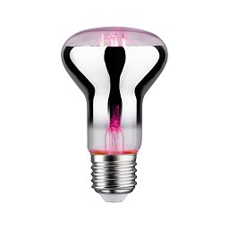 LED Grow Green lampa pro rostliny R63 E27 6,5 W - PAULMANN Obrázek pro produkt LED Grow Green lampa pro rostliny R63 E27 6,5 W - PAULMANN