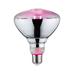 LED Grow Green reflektor lampa pro rostliny 6,5 W E27 na růst rostlin - PAULMANN Obrázek pro produkt LED Grow Green reflektor lampa pro rostliny 6,5 W E27 na růst rostlin - PAULMANN