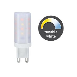 LED žárovka 1x4W G9 teplá bílá - denní bílá TunableWhite - PAULMANN Obrázek pro produkt LED žárovka 1x4W G9 teplá bílá - denní bílá TunableWhite - PAULMANN