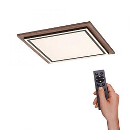 Obrázek pro produkt PALMA LED stropní svítidlo, imitace dřeva, stmívatelné, dálkový ovladač, CCT 2700-5000K - PAUL NEUHAUS